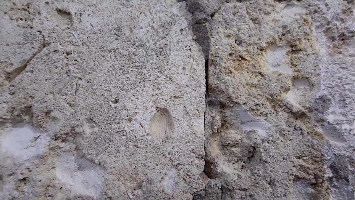 Almost all the old buildings in historic Jeddah were built of coral stone, the patterns of shell fossils can be noticed on these stones