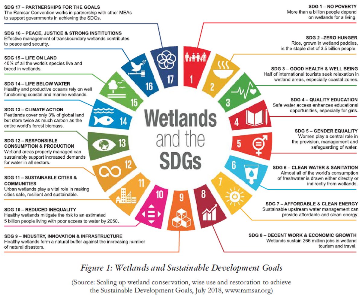 VaidicSrijan's tweet photo. @NIUA_India @U20India @IndiaG2O @HardeepSPuri @MoHUA_India @SmartCities_HUA @JSecretary_SCM @hiteshvaidya @saylitweets @kanaktiwari Resurrection of the Native Ecology of All the Waterbodies is the way forward for a sustainable future, as endorsed by Ramsar Convention in 2018, that all UNSDGs are met with HEALTHY Waterbodies
we do it with #Cownomics 
we'll be keen to partner with @NIUA_India to make it happen https://t.co/Ea7MceakTg