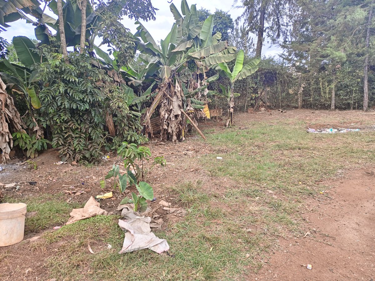 Bossyator's tweet photo. New Construction Site ALERT!
I bless my God for Blessing me with another site in January. I will as always give it my 100% dedication... Kitale better be ready, tuko area! https://t.co/LYJ0HtTyMK