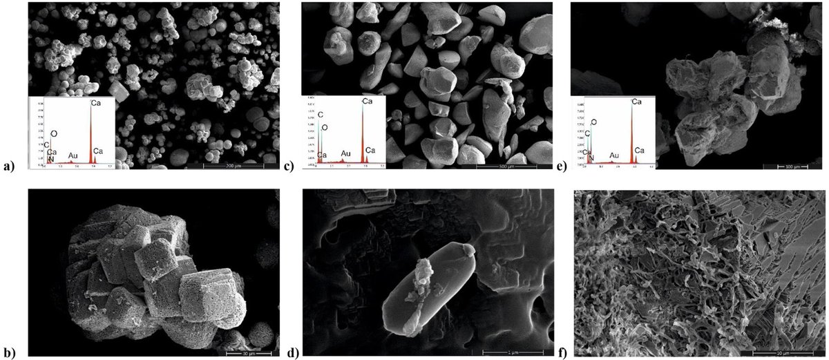 SpringerMicBio's tweet photo. New in World Journal of Microbiology and Biotechnology: Improvement of microstructure of cementitious composites by microbially-induced calcite precipitation
Read now at: https://t.co/6SUazesCvp
#Waterabsorption #Cementitiouscomposite #Compressivestrength https://t.co/S99555mmXg
