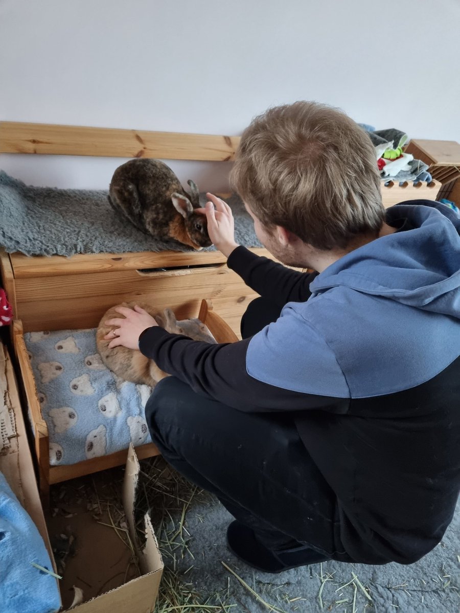 briony turner tweet media