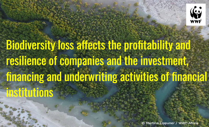 NatureDeal's tweet photo. Today @WWF launches free online @WWFRiskFilter - combining  the existing Water and new Biodiversity Risk Filter - to help companies and finance sector assess nature risks: https://t.co/fEpB1UAXjT 🪲🦜🌲🌍

#GreeningFinance #Davos @wef https://t.co/pFUtlwBX78