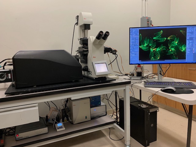 BioVision Technologies tweet media