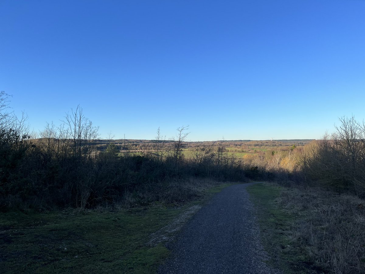 Fiona Rutherford tweet media