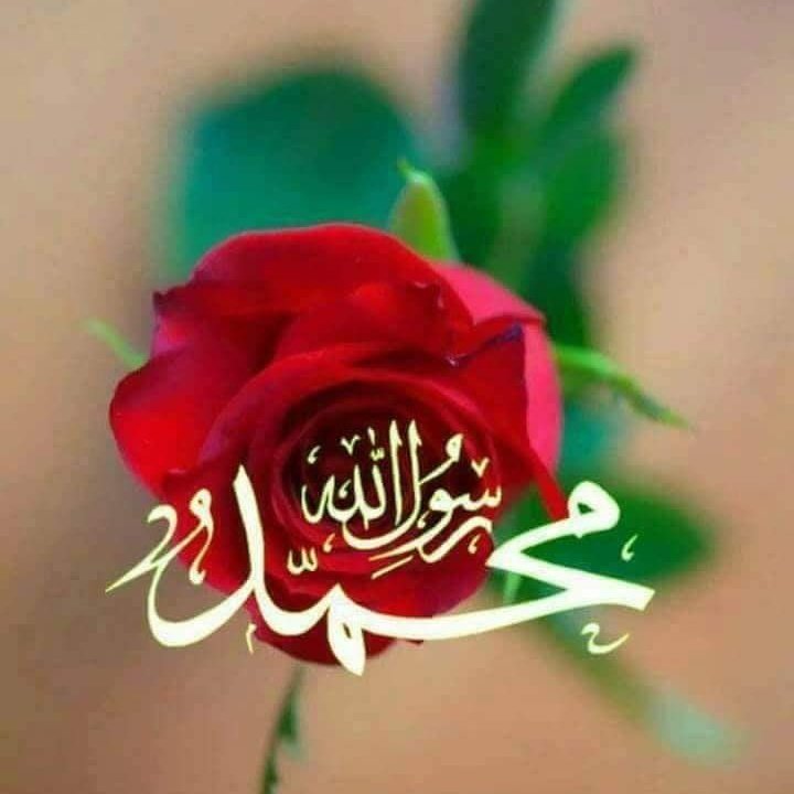 KanturSenay's tweet photo. #YeniProfilResmi https://t.co/Y96ZM4cQws