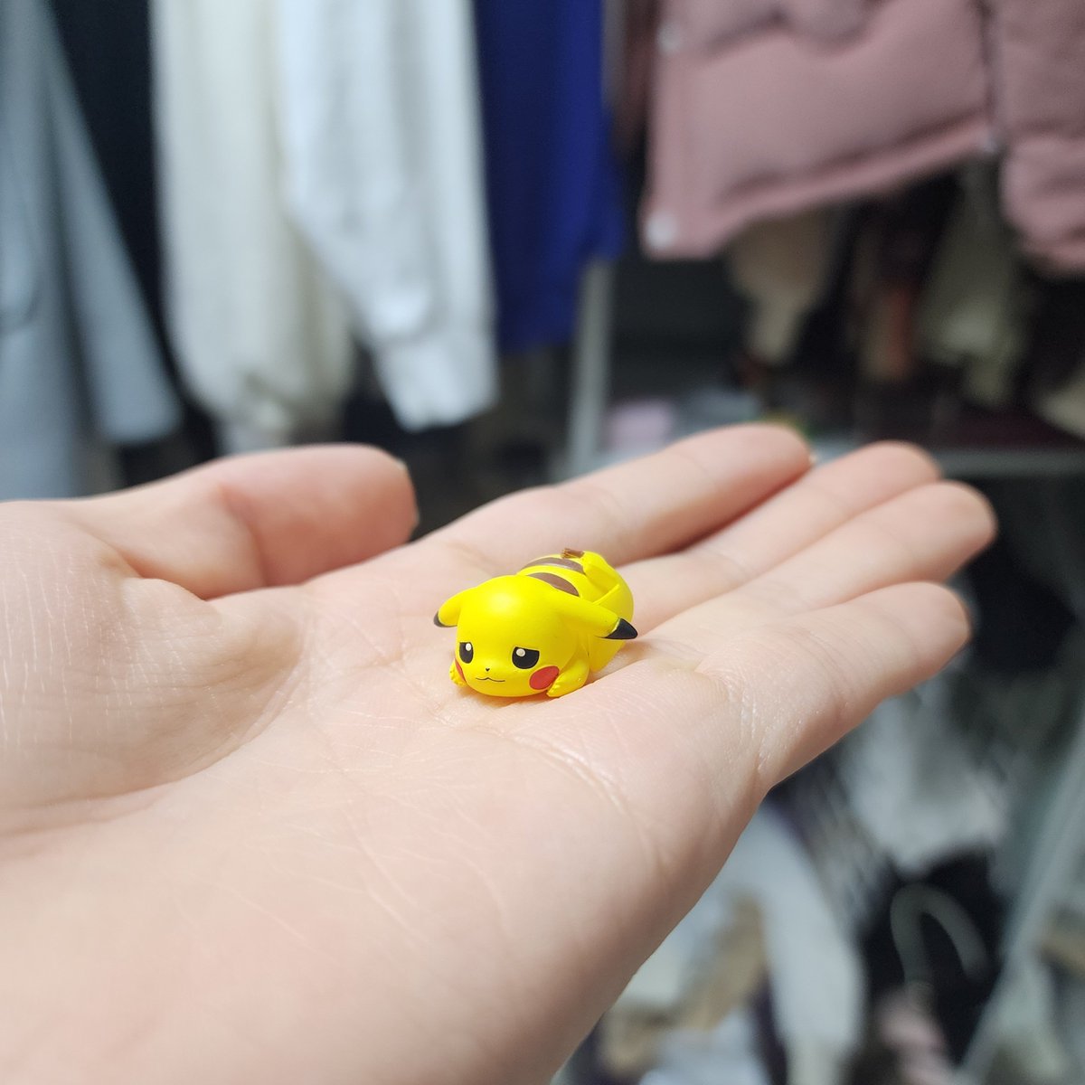 yeneex2's tweet photo. 친구가 산 포켓몬 미드나잇 맨션 가챠. 4번째 해골몽 나왔는데
내 가방에 넣고 집 와서 보니 피카츄가 없었다 찾아보니 피카츄 혼자 다른 봉다리에 떨어져서 숨어있었따
겁쟁이 https://t.co/C5r1JJ97Bh