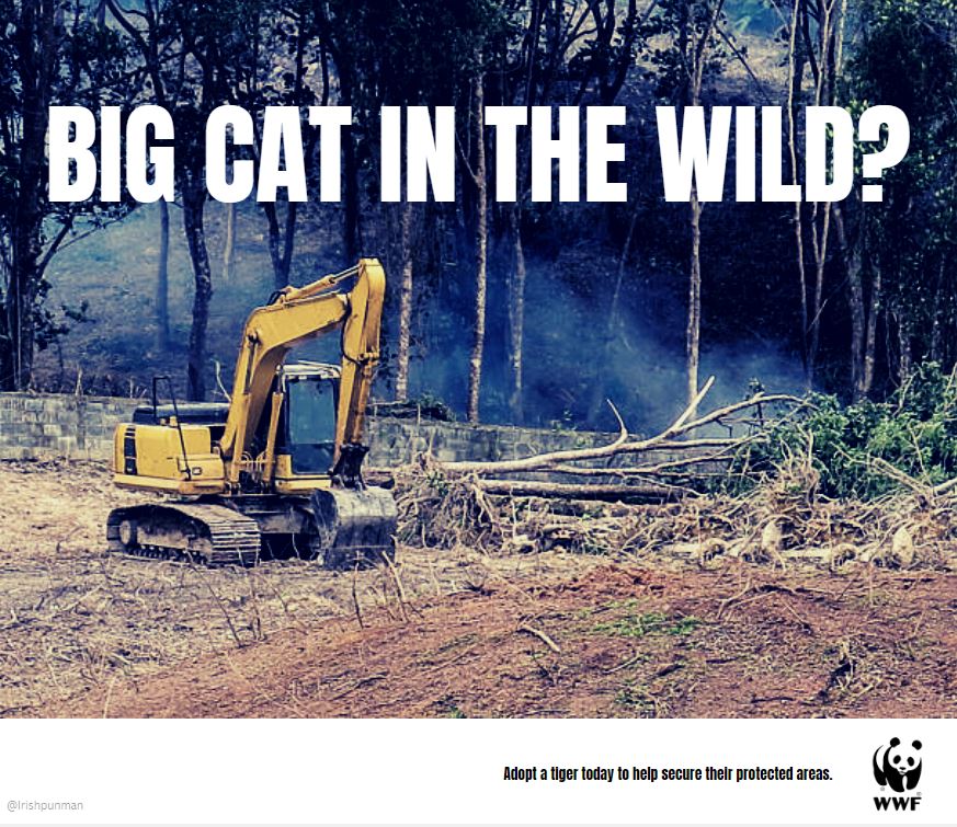 This 'Cat' may be all we know soon...

Promoting adopting a tiger with @OneMinuteBriefs and @wwf_uk 
#YearOfTheTiger 🐅