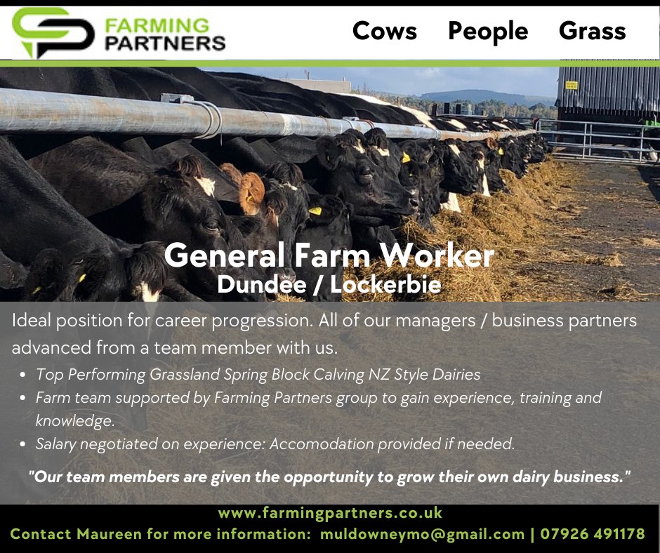 FarmingPartners's tweet photo. We are looking for help with 2x a day milking 10 mins from Lockerbie, we also have a position coming up on our Dundee farm for someone with grassland dairy experience. Get in touch if either of these roles are for you. #teamdairy #jointheteam #farmingpartners #workinagriculture https://t.co/qzvaT3flV4