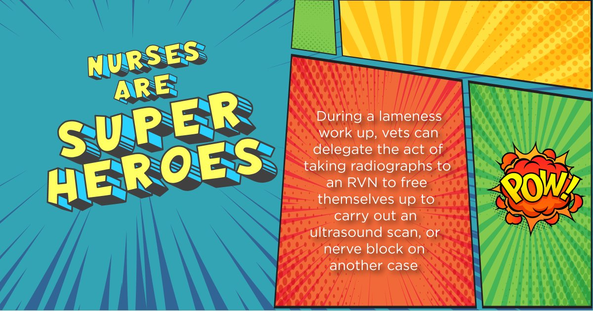 During a lameness work up, vets can delegate the act of taking radiographs to a Registered Veterinary Nurse to free themselves up to carry out an ultrasound scan, or nerve block on another case.

#vetnursesaresuperheroes