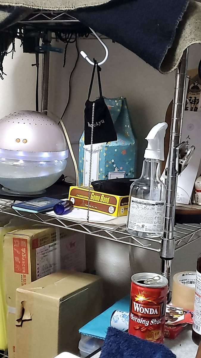 kojisan60's tweet photo. ぐれこが、風もないのに
揺れてる　友達いないわしに
わたしがいるよーって言ってるのかな？(^ー^) https://t.co/taN3r7upvB