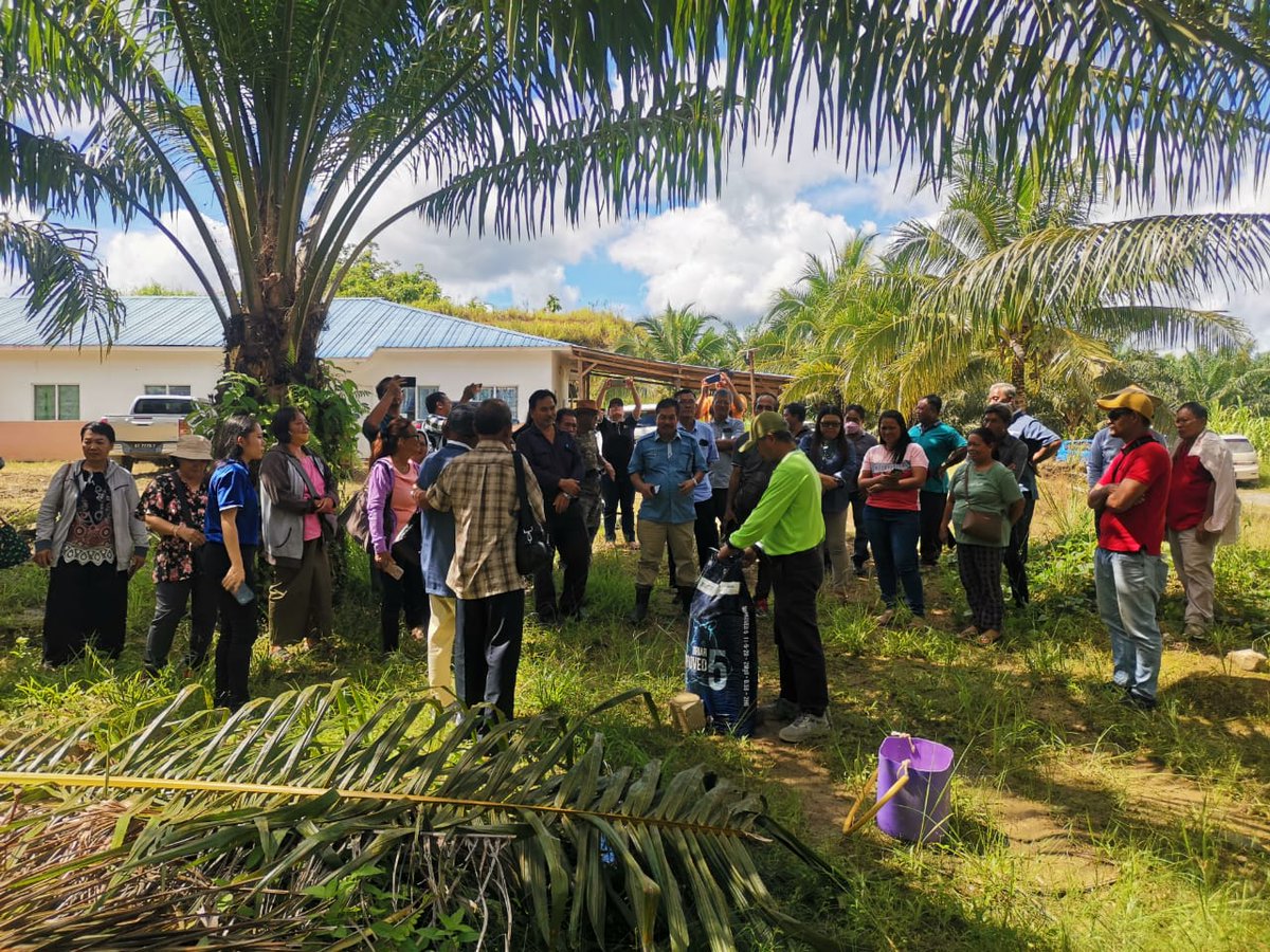 Dayak Oil Palm Planters Association (DOPPA) urges EU to support #indigenous #palmoil smallholders MSPO must be accepted by EU for the inclusion of Dayak smallholders @CHansenEU @HeidiHautala @PetraJayaMP @mpocHQ @MPOCEurope @mpob_tweets einnews.com/pr_news/611451…