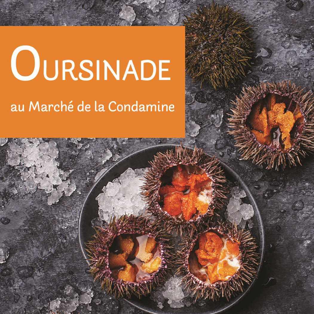 MairieMonaco's tweet photo. Oursinade au Marché de la Condamine lundi 6 février à partir de 18h!
15⏠: 6 oursins, pain et beurre.
Réservation obligatoire avant le 30/01 au +377 93150604.
#oursinade #marchedelacondamine #mairiedemonaco https://t.co/E6yuo5FXpT