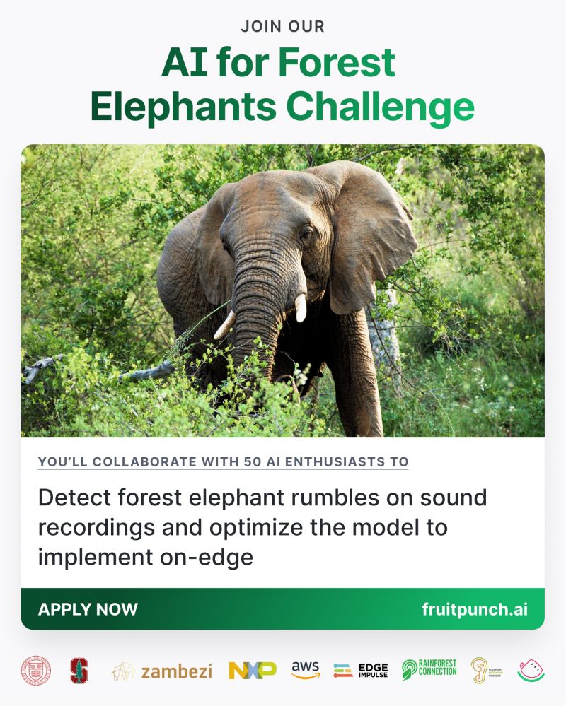 <a href="/fruitpunchai/">FruitPunch AI</a> kicks off 2023 with a new #aiforgood Challenge: AI for Forest Elephants 🌳🐘 The goal of the challenge: Apply #AI to detect gunshots &amp; elephant rumbles on monitoring devices deep in the #rainforest of Zimbabwe. Apply by Feb. 17: bit.ly/3IRJfUN