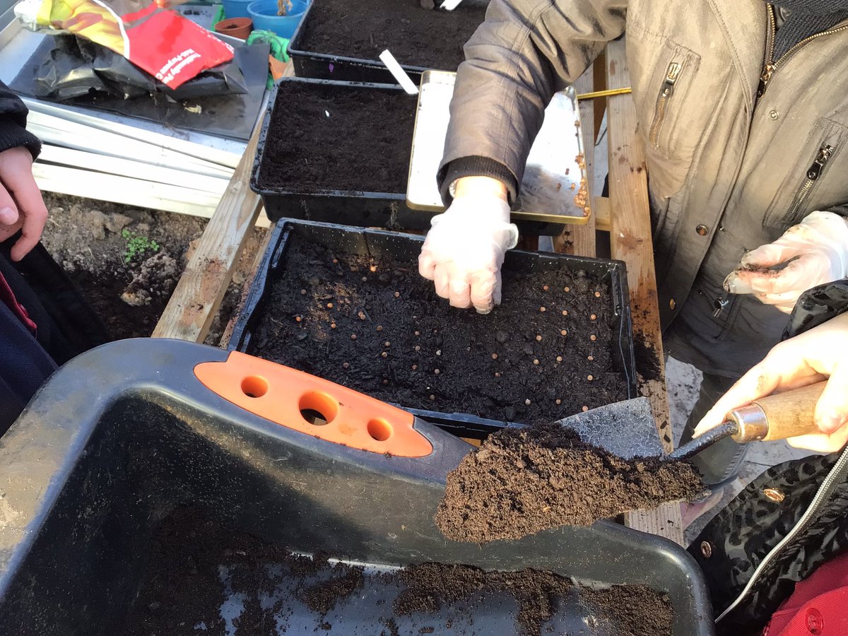 Andrew Clark tweet media