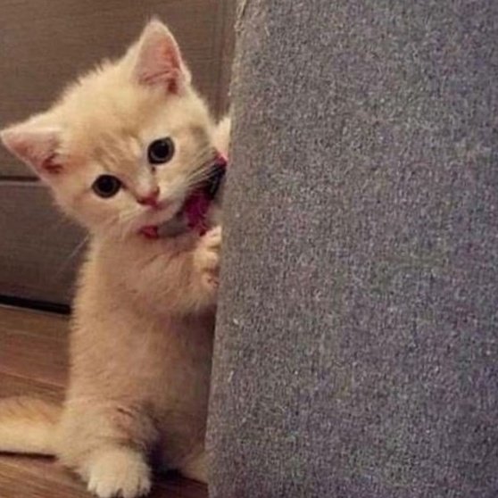 yjwprnts's tweet image. 