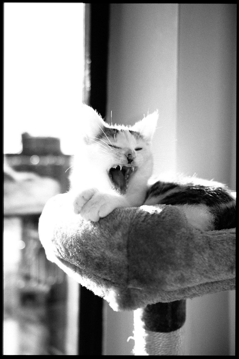 Manu López (@_manulpz) on Twitter photo 