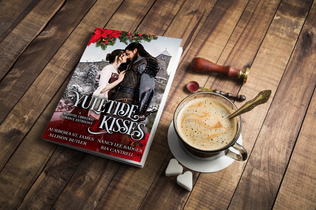 Book Promotion tweet media