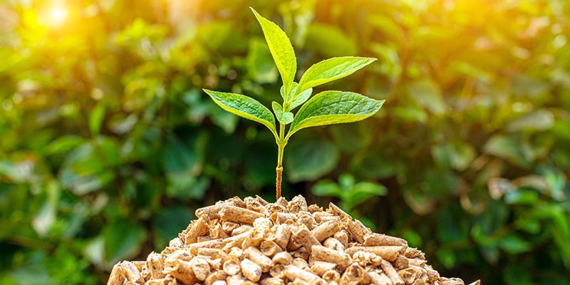 Derde voucherronde open Energie &amp; Klimaat III

Bedrijven uit Zuid-Holland met oplossingen op het gebied van duurzame innovatie kunnen vanaf vandaag tot en met 5 februari 2023 weer subsidie aanvragen bij het innovatieprogramma Energie &amp; Klimaat. 

#biomassa #subsidie #zuidholland