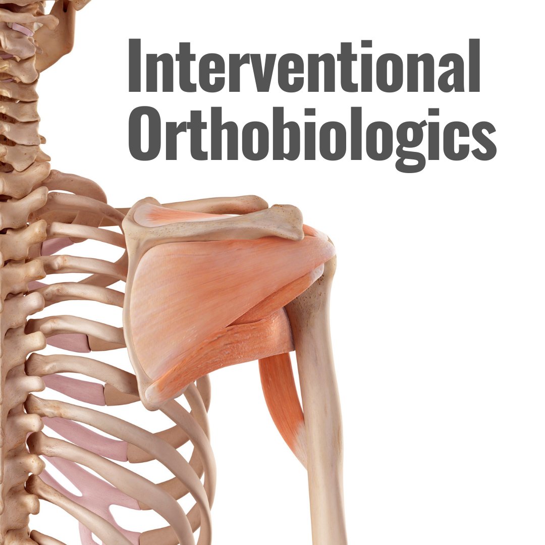 In Virtuo tweet media