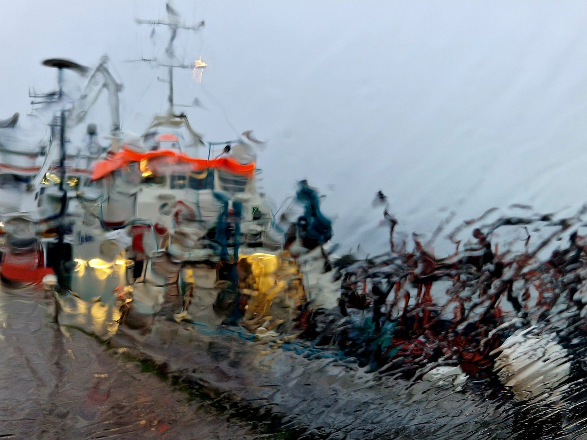 ArjaKastelein's tweet photo. Beetje verregend.... nu maar wat bijkomen in de heerlijk rustige #bibliotheek #Harlingen en bij het raam #mensenkijken #regendag 😊🙃💦😄 https://t.co/uThsNqONY1