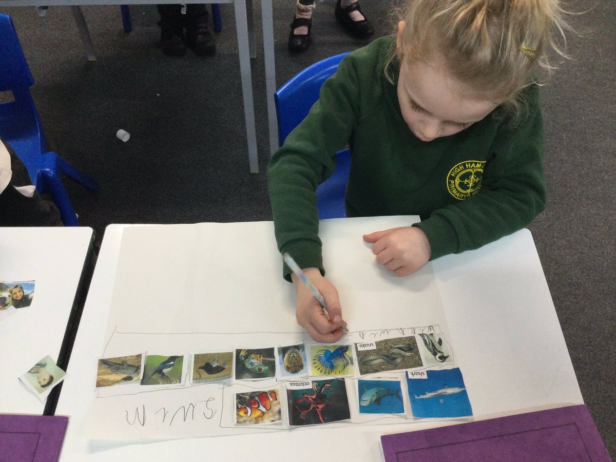 Cedarclasshh's tweet photo. We have started our Science topic on Animals including humans by grouping different animals according to similarities that we have decided upon ourselves.🐠🐩🦜🐍#HighHamScience https://t.co/c9rNhSJ0Dw