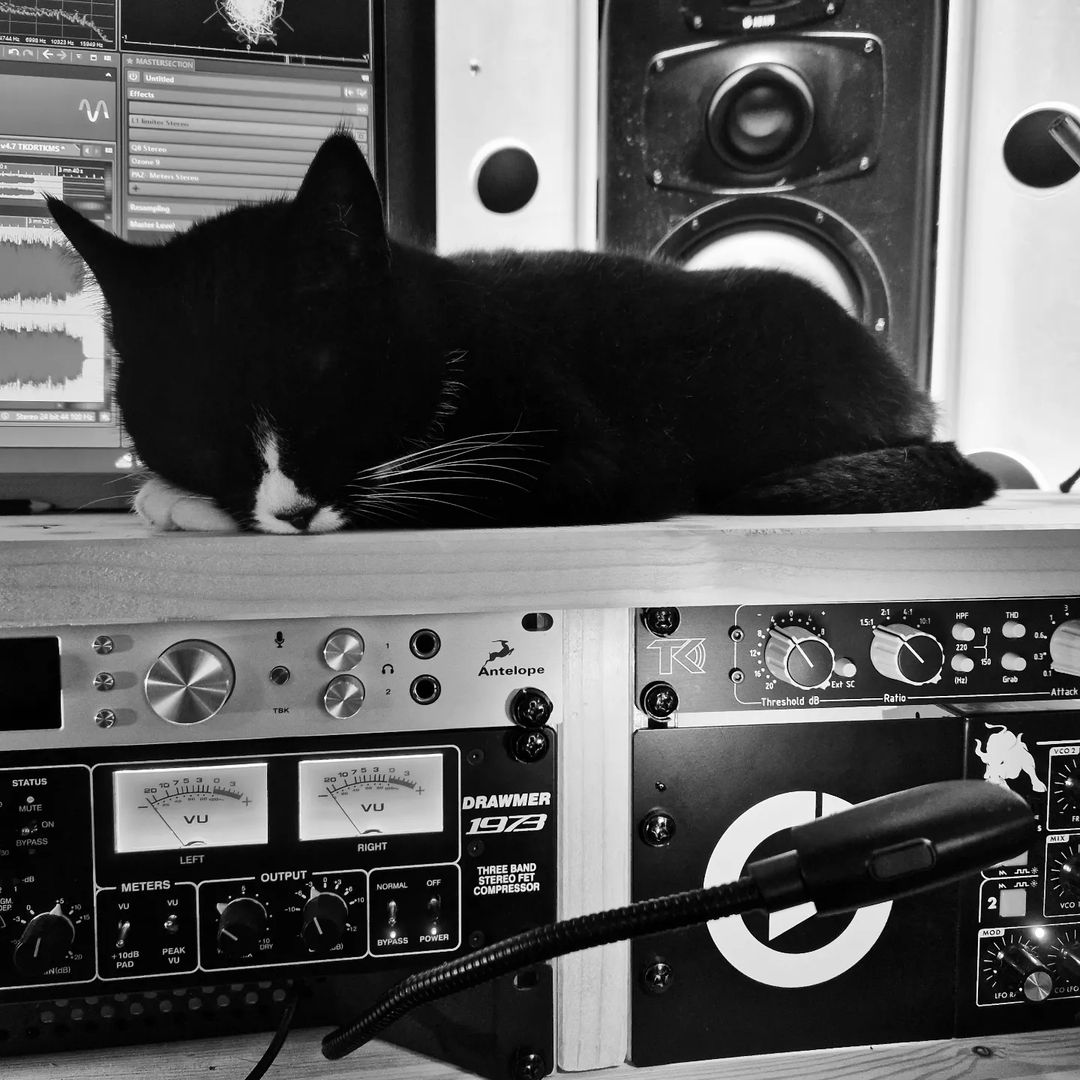 AntelopeAudio's tweet image. Everyone needs a second set of ears in the studio 🐱 

📸: instagram.com/greyhawkmusic/  

#antelopeaudio #audiointerface #synergycore #proaudio #recording #recordingstudio #studio #audioproduction #audio #mastering #master #audioengineer #geargoals #musicstudio #studiosetup #cats