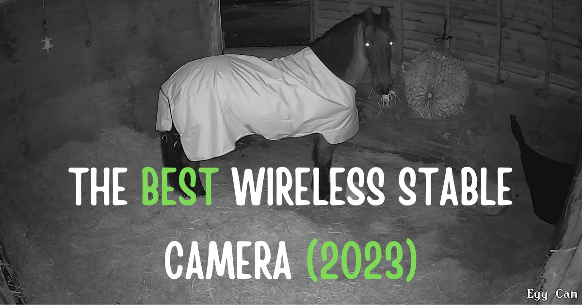 TheLazyHorseman's tweet image. Want to invade your horse's privacy and keep tabs on them in the stable?
Allow me to help. Here's the best wireless stable camera for 2023 
👉 bit.ly/3kjfbay

#equestrian #Horses #stablecamera