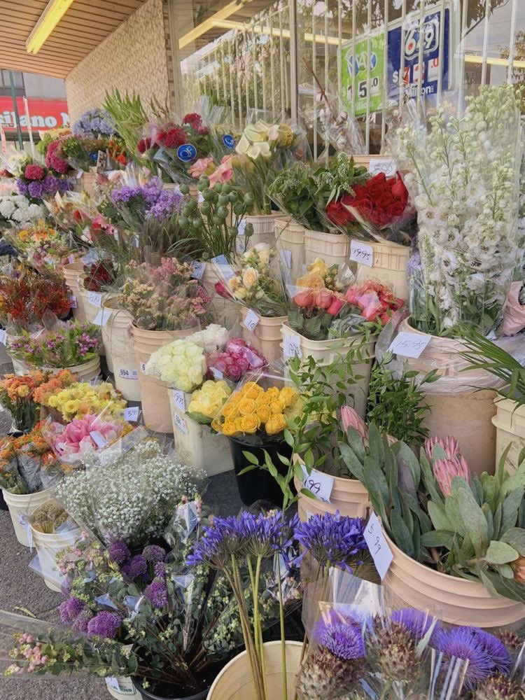 300moods's tweet image. my life goal is to open a flower shop 🌷