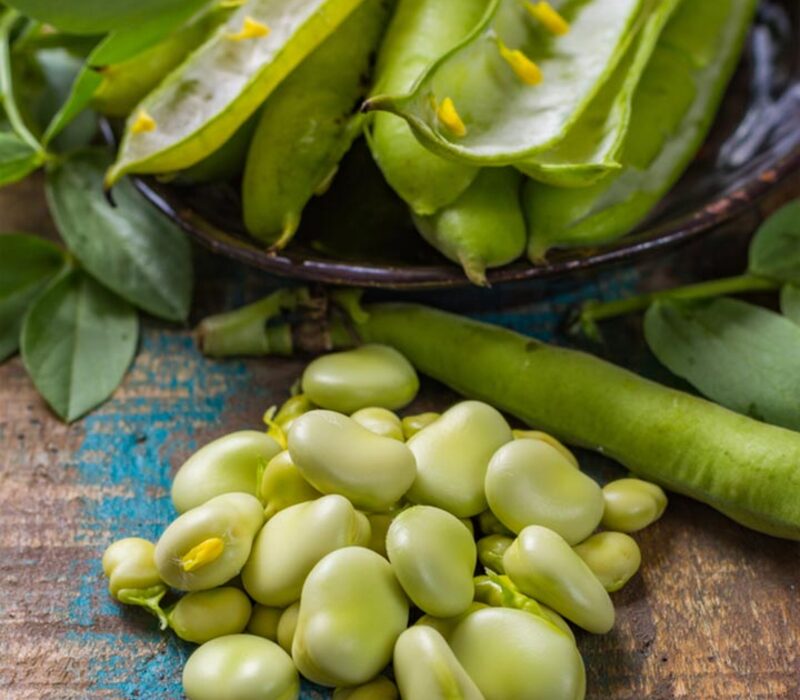 Health Benefits of Carbs in Lima Beans and Its Nutrition to Know #Beans #Carb #LimaBeans #Nutrition

lifestylefoodies.com/health-benefit…