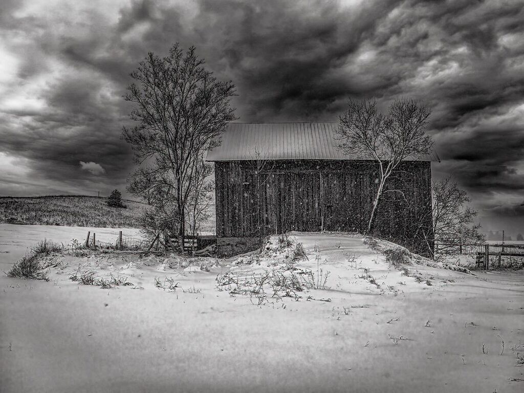 dennisbuchner's tweet photo. Moody Monday #puremichigan #puremichiganders #michiganders #puremittigan #michigan #moodygrams #renegade_dark #souls_hunters #ominous_perfection #moodyphotography #agameoftones #darkgrammar #sombrescapes #thedarkpr0ject #ig_exquisite #gloomy_side_views #gramsl… https://t.co/E9CWX0zLMd