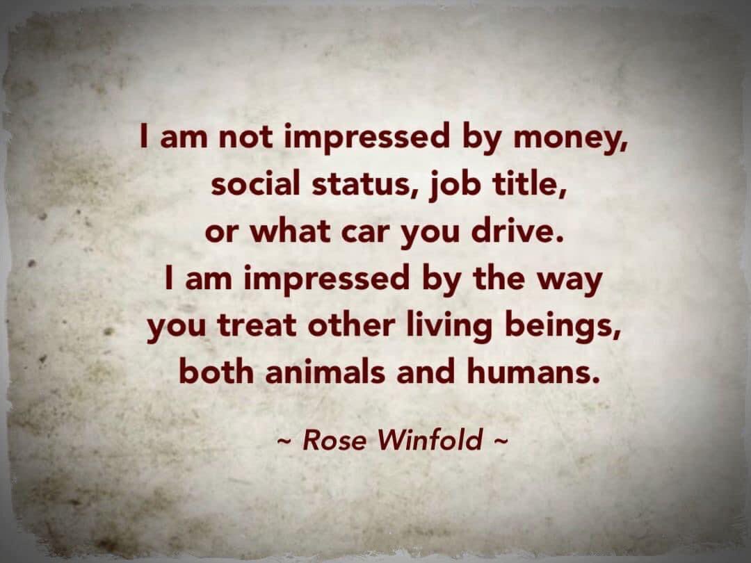 I’m pinning this one