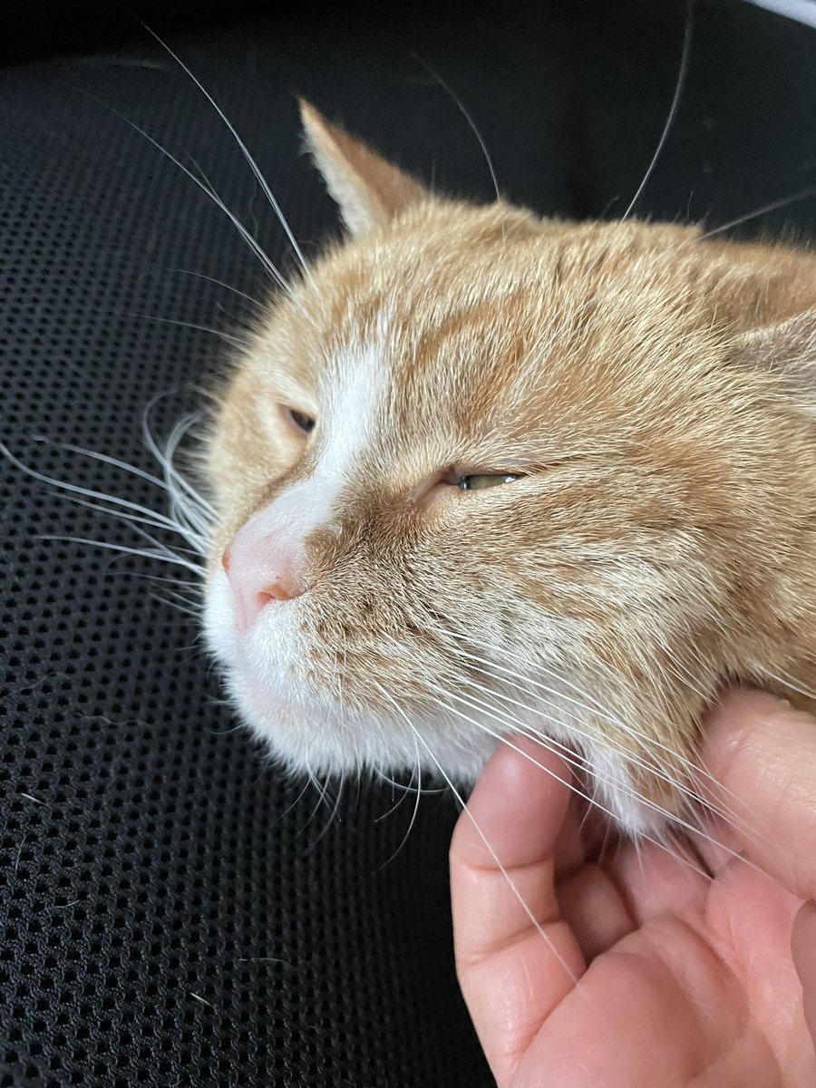 frqvd's tweet photo. @michaelscat2 https://t.co/3mov4XxY0J