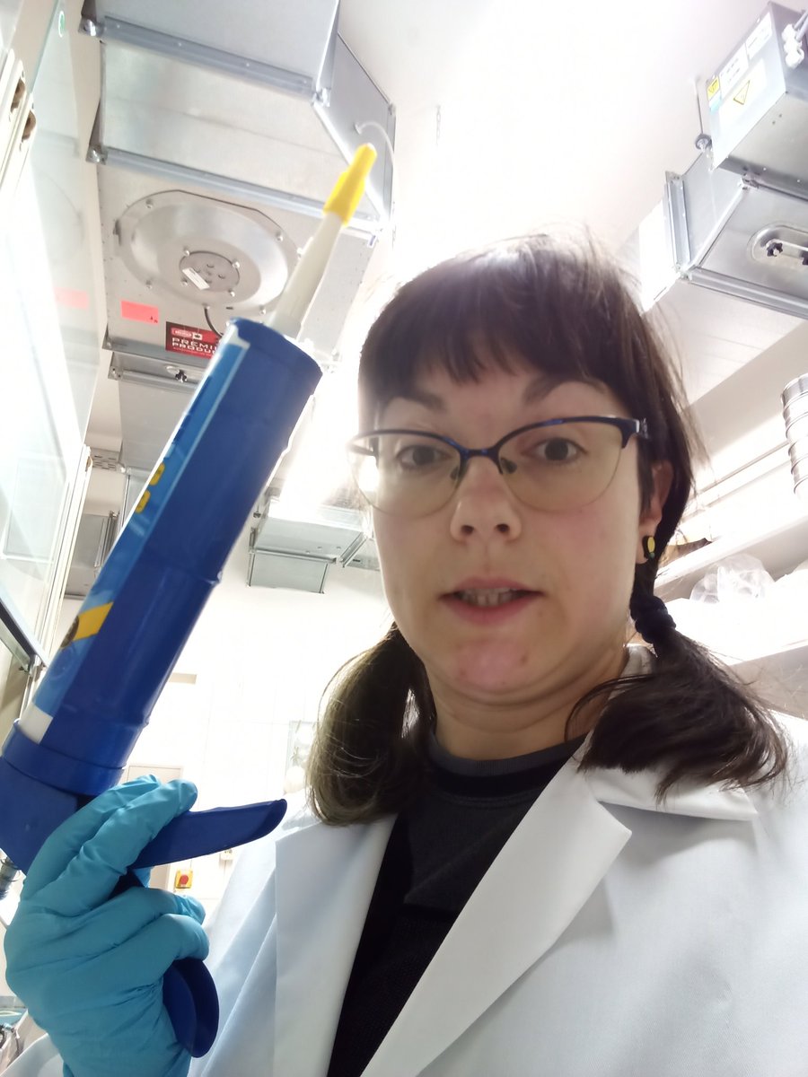 Katyon_Dimitrova tweet media