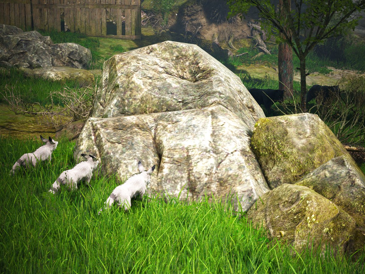 Black Desert Online PC tweet media
