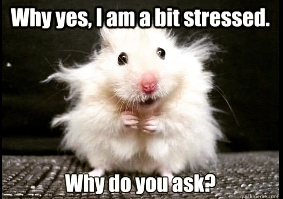 MKKCollections's tweet photo. So grateful that we don't have to carry this special brand of stress that teachers feel this time of year as they prepare students for ridiculous standardized testing🙏😊. 

Life will never be stress free and that's okay. Throughout this journey we've … https://t.co/lUvZNGyAQ2 https://t.co/Sjntk7hT4n