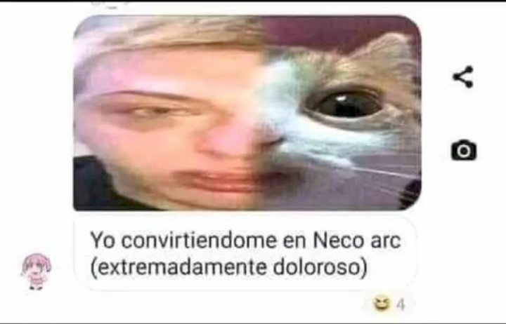 GatoFashado's tweet photo. Estoy muy decaído, creo que no soy bueno en esto de dibujar en pc. 
No se si seguir no se como dibujar y eso era mi unica forma de avanzar y  me doy cuenta que se me da mal o talvez espere mucho de mi, no tengo idea cada vez me dan menos ganas de dibujar y solo irme :/ https://t.co/GDSf1gIeBA
