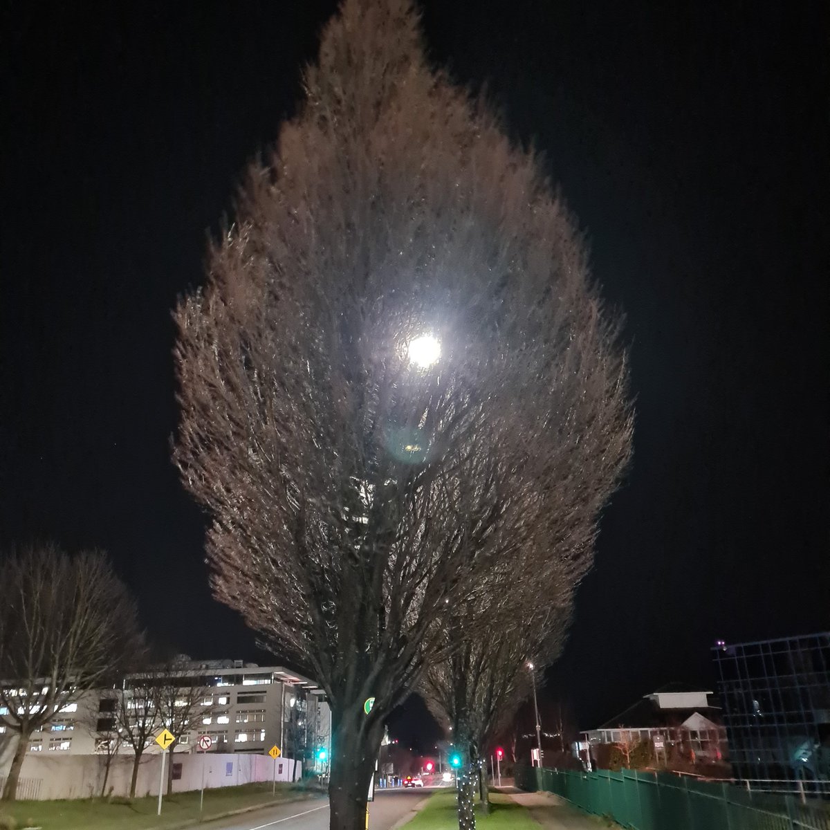 GraingerAnna's tweet image. Cracked #BlueMonday thankfully! 🙏 
Day 16 of #100daysofwalking ✨️
#BKNT