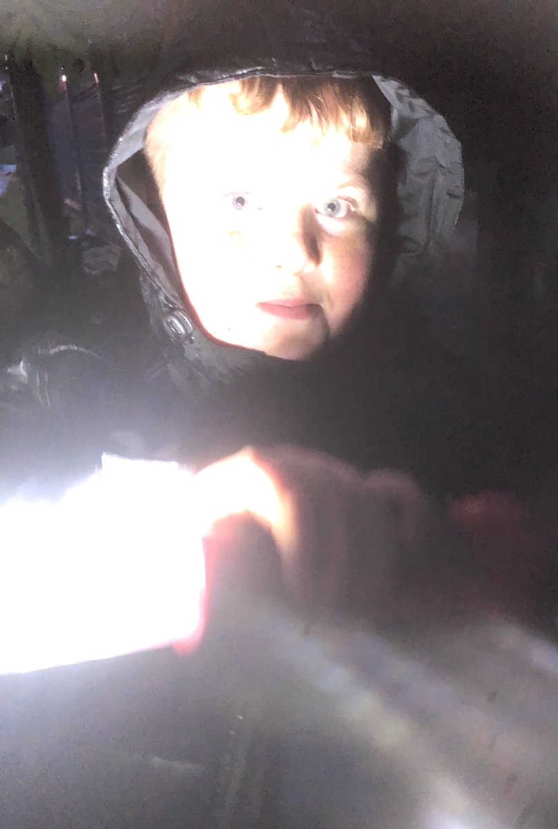 Rosehill Forest School tweet media