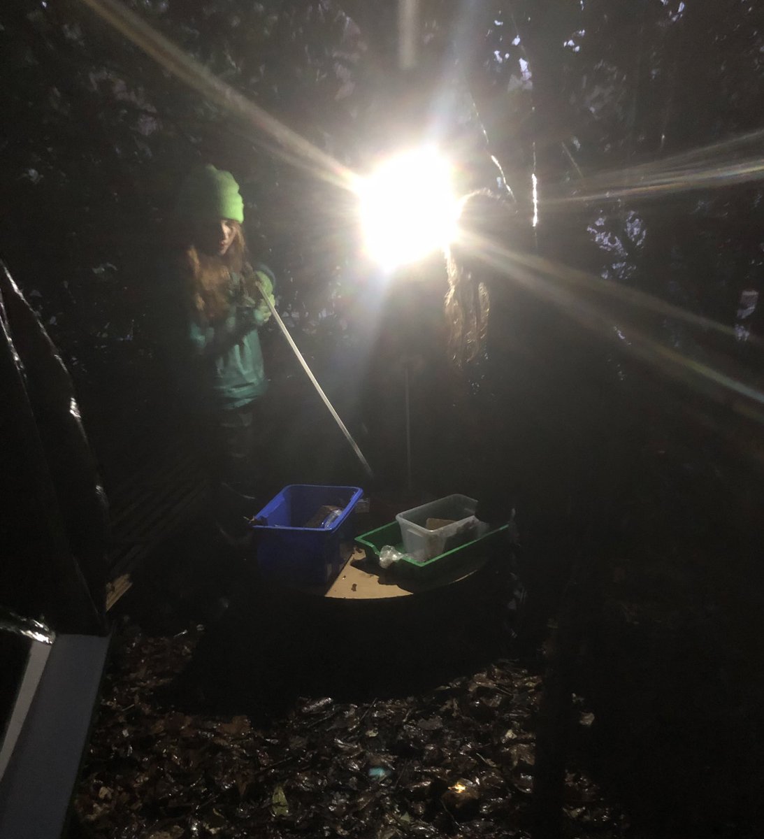 Rosehill Forest School tweet media