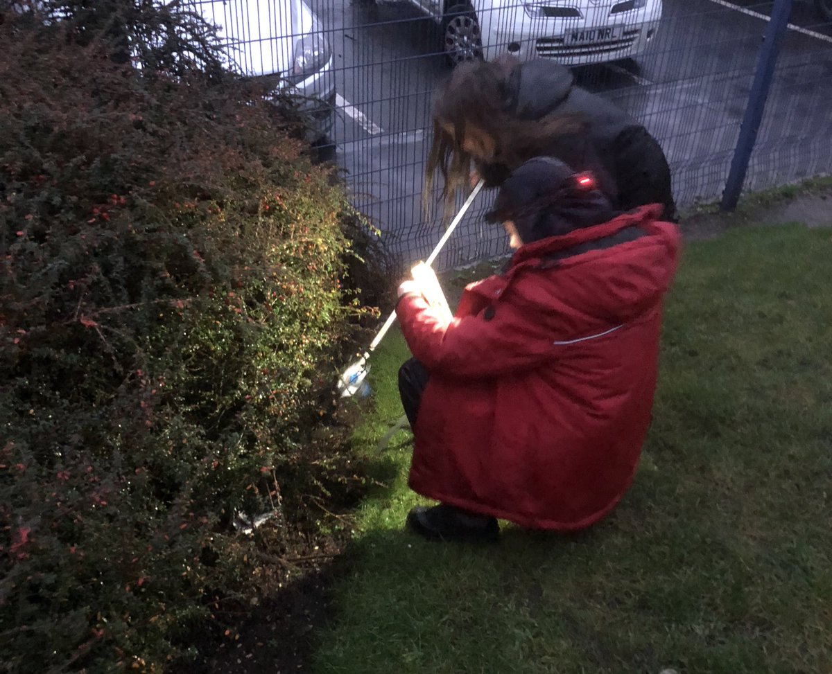 Rosehill Forest School tweet media