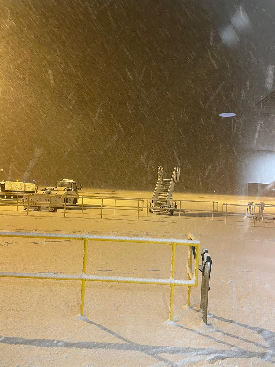 David Lammy tweet media