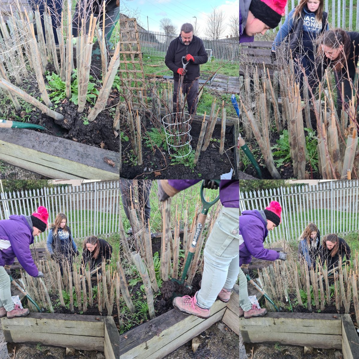 Great day today getting the trees ready for the our tree planting On Tuesday 17th January 10.30am we will be meeting at Yr Ynys, North Cornelly We will be joining Valleys to Coast, pupils of Cornelli Primary and Afon Y felin to plant trees around Marlas <a href="/ValleysToCoast/">Valleys to Coast</a>