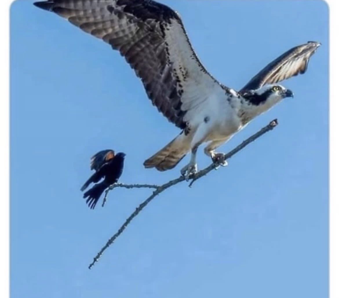 JeffreyMWard's tweet photo. Branch manager and his assistant branch manager. https://t.co/TEUDYYFiED