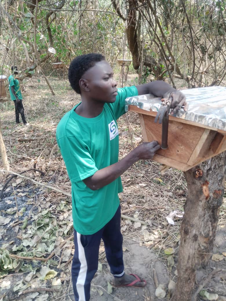 SetlinkFinance's tweet image. Today our staff&apos;s on ground installed more beehives in our demonstration farm in MUGWO Payam of YEI River County. 

We are expecting to produce 50,000 liter&apos;s of Honey per a year by the year 2025.

MUGWO Honey for the poor or the poorest.

Serving people who serve the Nation.