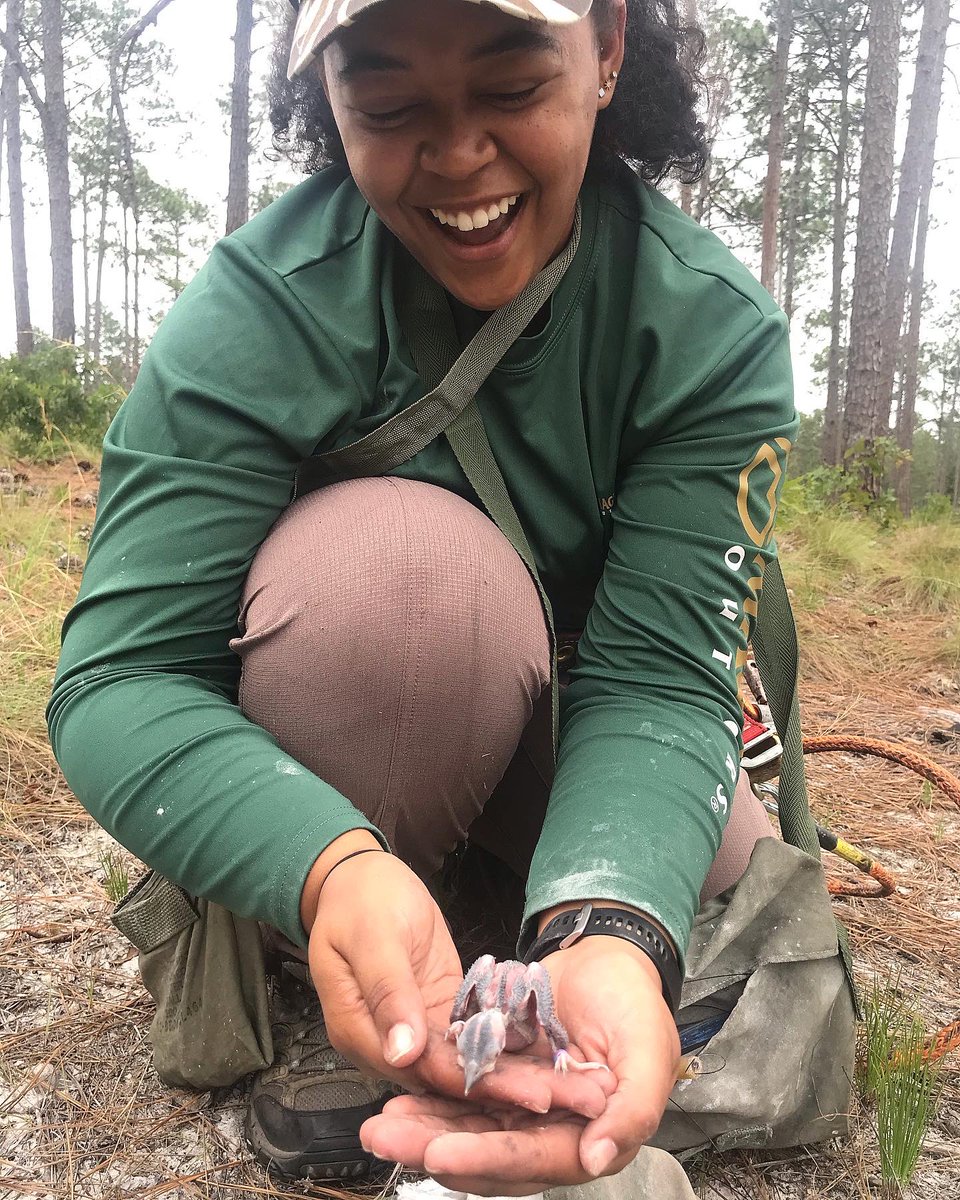 ldpharr's tweet photo. #FieldWorkJoy with a baby #RCWoodpecker 🔴⚪️⚫️
FIPhotoContest 📸 https://t.co/BvQ5NfJhGr