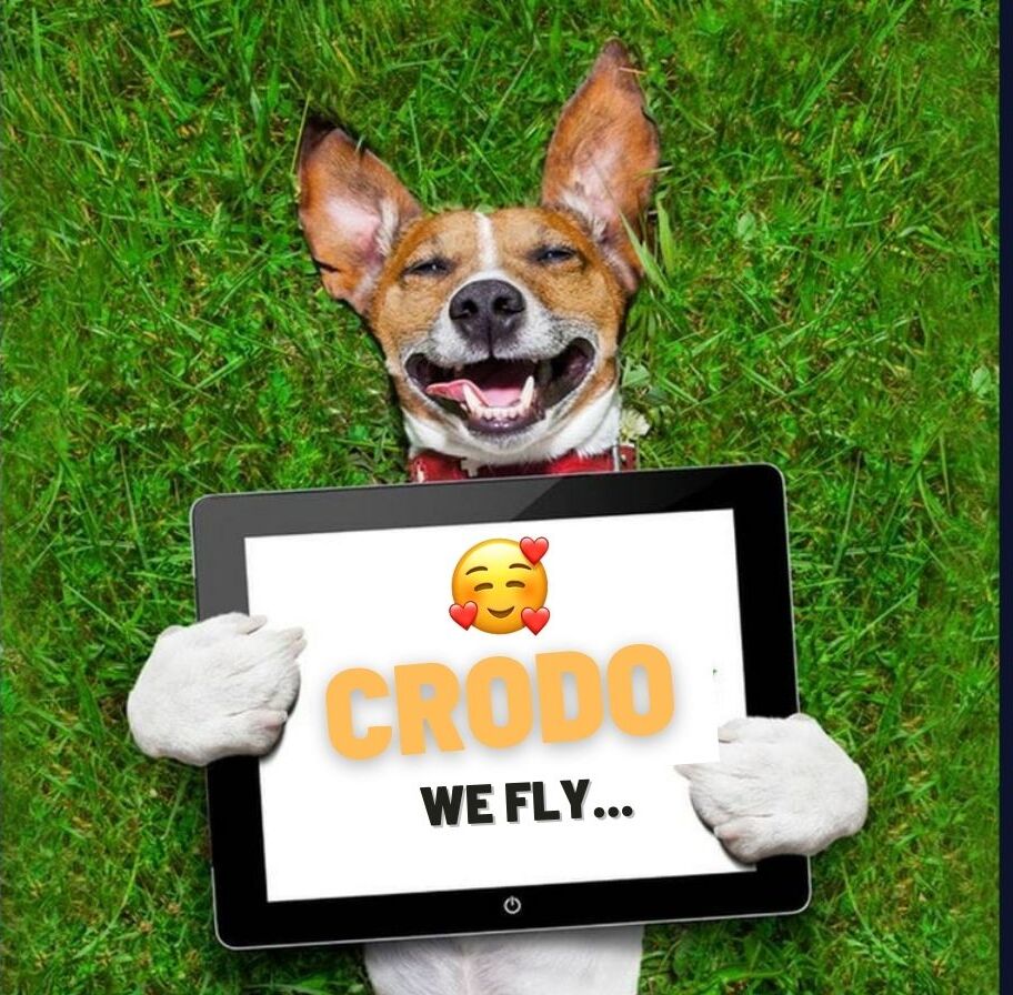 PavelLysenko6's tweet photo. @Crodo_io #CRODO #CRONOS @cronosapp $CROD @cryptocom https://t.co/F8DbNUpCOU