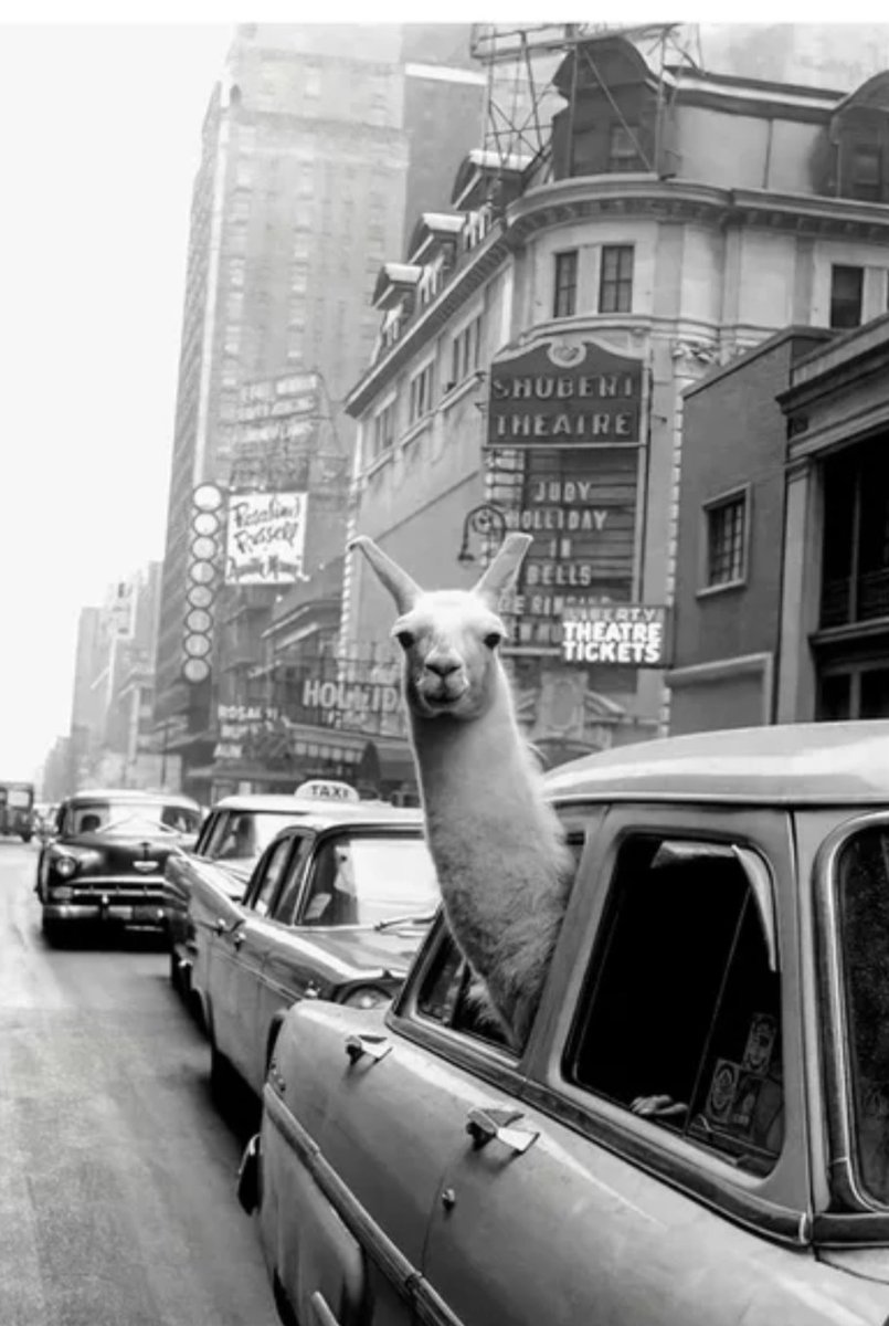 sjd1024's tweet photo. @tweeetnlo Photo by Inge Morath. https://t.co/93Ir6EotK0