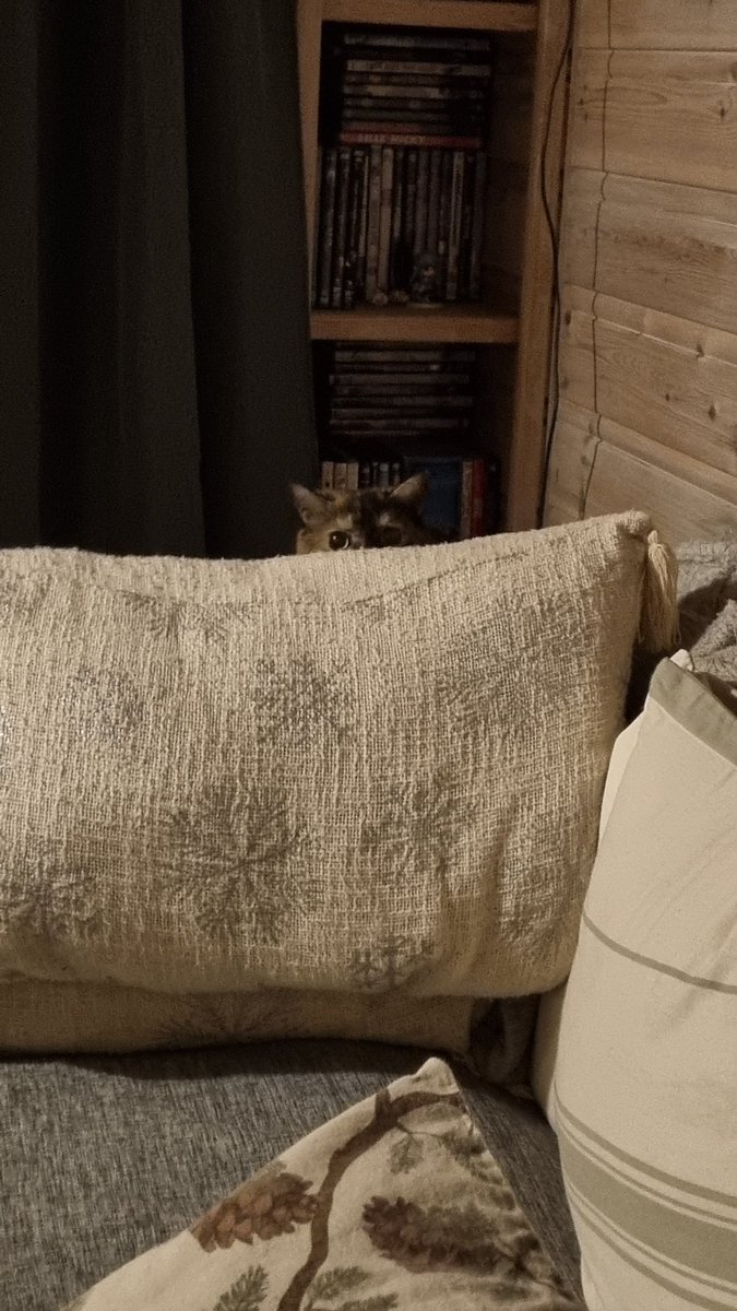 SeraDerp tweet media