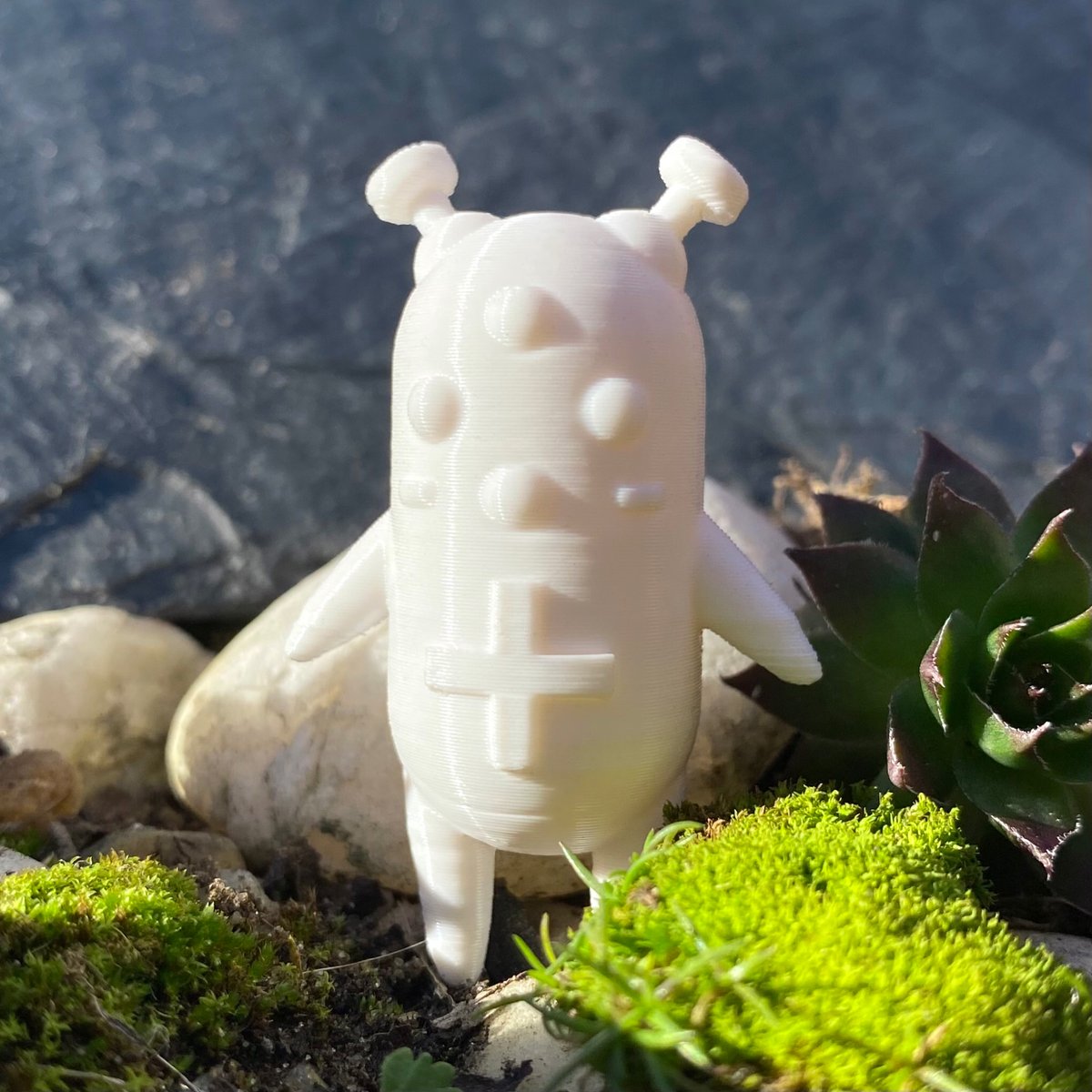 Out roaming with ⁦<a href="/littlepillsnft/">Little Pills</a>⁩