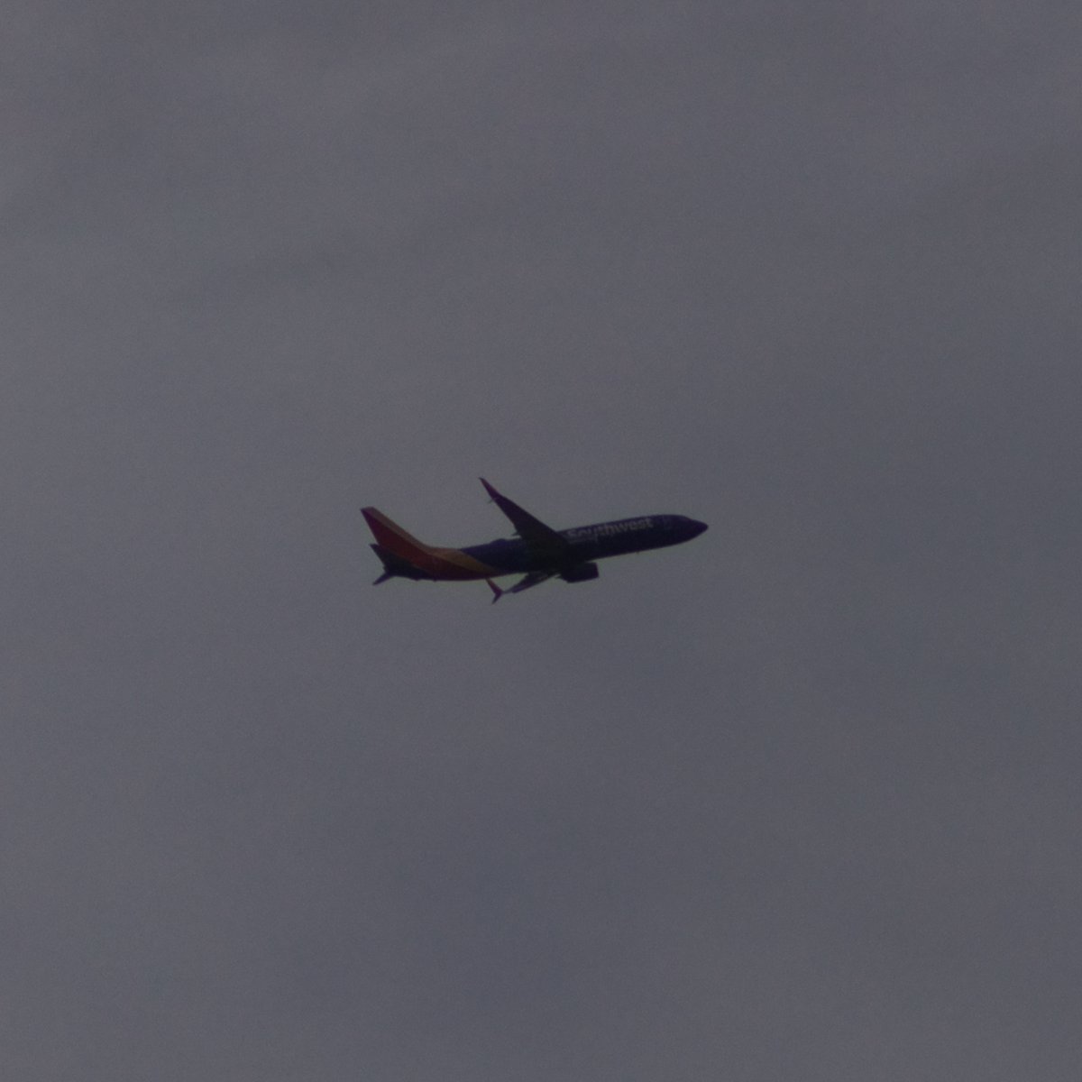 ActualPlaneServ's tweet photo. SWA606
B738
N8559Q
abbd8d
#SWA606 #SWA #B738 #N8559Q #abbd8d
Automated Photo Crop #Roboflow #AI Confidence Score: 0.921 #objectdetection #machinelearning #NVIDIA #Jetson #PHX #Automated #Planespotting #RaspberryPi #ADSB #SDR #NodeRed #AvGeek #ActualPlaneServer https://t.co/qIz6K7nMaE
